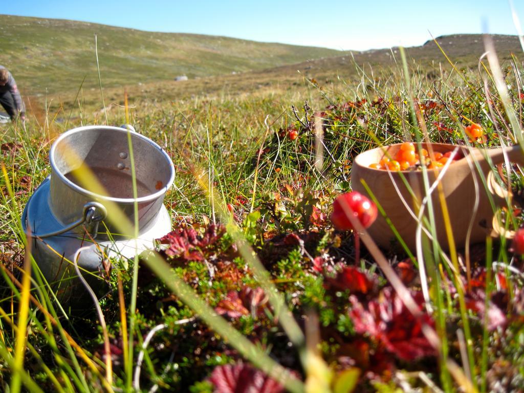 Norefjell - Storhytte Med Jacuzzi Og Fantastisk Beliggenhet Noresund Bagian luar foto